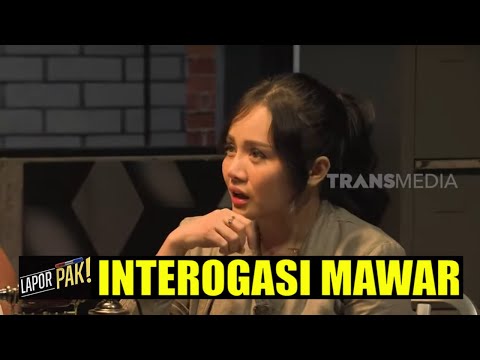 Video: Apakah Laporan Mawar 2009?