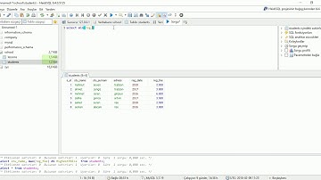 MAX-MIN-SUM-GROUP BY Commands On HeidiSQL @sadikemrah