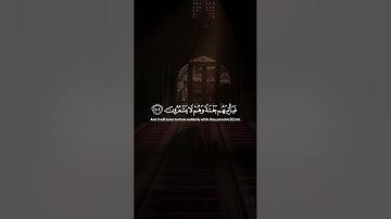 سورة الشعراء | الاية 192 - 212 للقارئ ياسر الدوسري