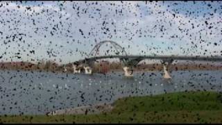 The New Champlain Bridge November 9, 2011