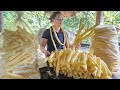 Popcorn Making Process Goes to market sell | Plant chayote - Gardening