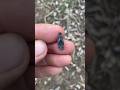 I found a THONG 😉 METAL DETECTING 😜 #metaldetecting