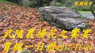 20171104武陵農場花之饗宴賞楓一日遊(原音版)