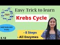 Easy Trick to learn 'Krebs Cycle' | Funny Mnemonics