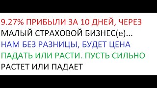 9.27% ПРИБЫЛИ ЗА 10 ДНЕЙ... МАЛЫЙ СТРАХОВОЙ БИЗНЕС + ТОРГОВЛЯ ВОЛАТИЛЬНОСТЬЮ, ЛЕГКИЙ ЗАРАБОТОК-4