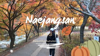 Naejangsan Hiking Trip  / 내장산국립공원 by Pattrische Art 161 views 3 years ago 13 minutes, 37 seconds