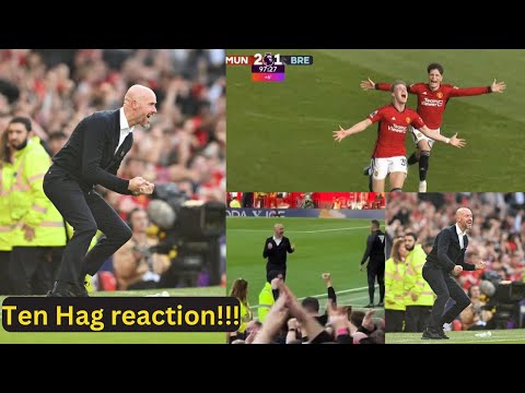 Ten Hag reaction to Mctominay goal vs Brentford | Man United vs Brentford.