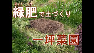 【一坪菜園】家庭菜園での緑肥（りょくひ）を使った土づくり【エン麦/土壌改良】