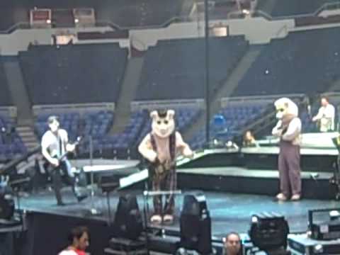 Jonas Brothers soundcheck - Dressed as PIGS (BB Go...