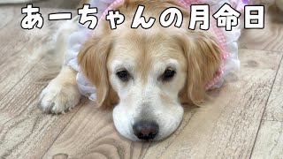 あーちゃん3回目の月命日