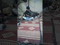عازف لبزق ساري عثمان عازف لبزق ساري عثمان