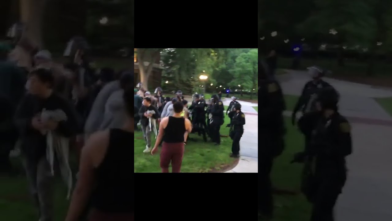 Police clear pro-Palestinian encampment at University of Michigan