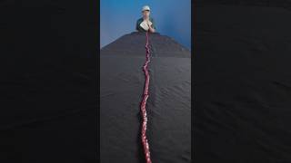The Worlds Longest Twizzler