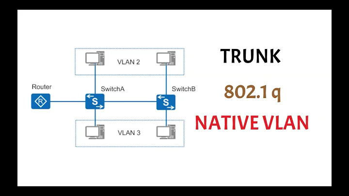 what is a trunk | dot1q | native vlan? ccna 200-301