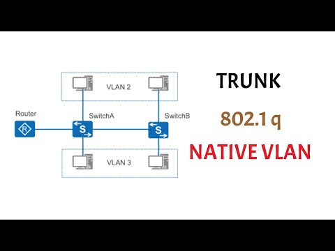 what is a trunk | dot1q | native vlan? ccna 200-301