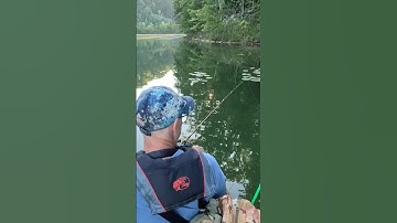 GULP MINNOWS never know what ya catch #gulpminnow #kayakfishingtips #fishingmethods #kayakfishing