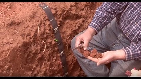 Soils: Soil Horizons
