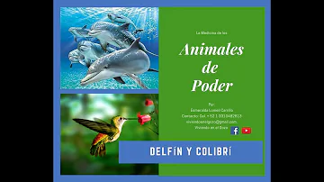 ¿Qué simbolizan los delfines?