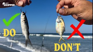 Epic Surf Fishing Method W Live Bait Dos And Donts To Catch More Fish Top Beach Fishing Tips