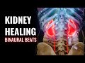Kidney Healing Binaural Beats | Overcome Kidney Disease | Activate Your Both Kidneys Function- 741Hz