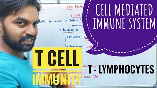 Cell mediated immunity | innate immune response | V Senthilnathan