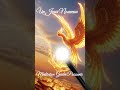 Méditation Guidée Puissante  du  Matin "Un Jour Nouveau " #etresoi