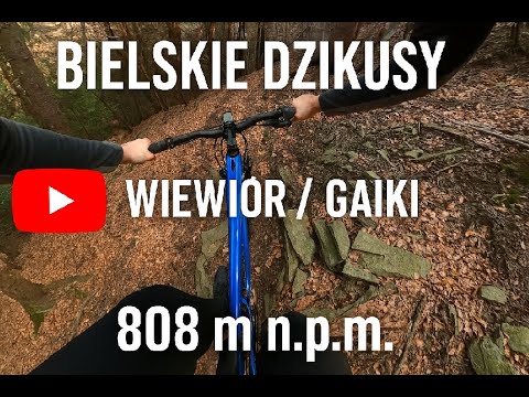 Bielskie Dzikusy -