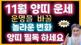 11월 양띠 운세: 재물운과 놀라운 변화가 운명을 바꾼다,양띠 필독!