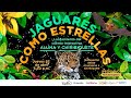 Navegación: JAGUARES COMO ESTRELLAS | Chiribiquete | Parque Explora