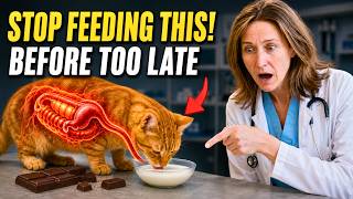 STOP Feeding Your Cat These 10 Everyday Foods! (Before It's Too Late)