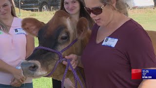 CT Grown for CT Kids program enriches student's agricultural knowledge