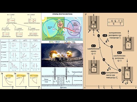 видео: 81 Изопроцессы