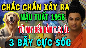 Chắc Chắn Xảy Ra: Mậu Tuất 1958 - 3 Bẫy Cực Sốc Từ Nay Đến Rằm Tháng 11 ÂM Lịch !
