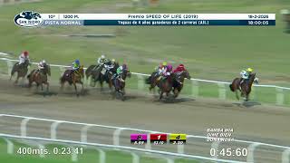 Vidéo de la course PMU PREMIO SPEED OF LIFE 2019