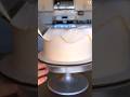 This wide piping tip makes the cake decorations stand out more #shorts #tutorial
