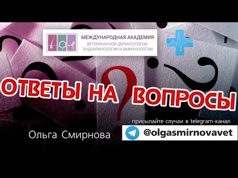 Ответы на вопросы. Выпуск от 30.06.2024