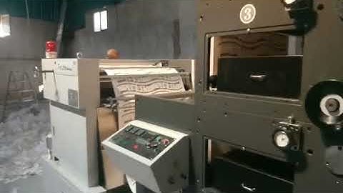 Paper Cup Fan Roll Die Punching Machine inline 4 Colors Flexo Printing in Turkey