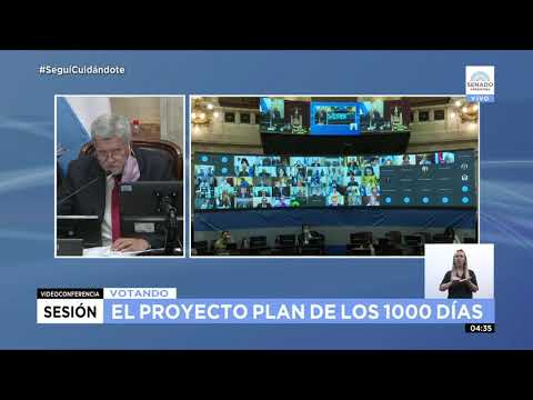 VOTACIÓN - SESIÓN ESPECIAL IVE 29-12-20