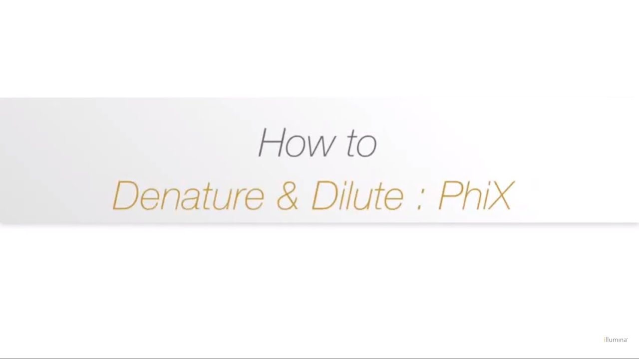 Nextseq 500 550 Denature And Dilute Libraries Youtube Nextseq 500 550 Denature And Dilute Libraries Youtube
