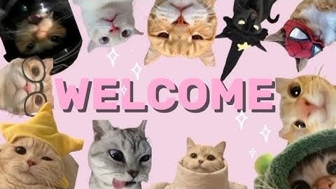 Tugas informatika membuat vlog"hidup bijak di era digital"/sarah syifa a. /kelas IX A/Mts M Sukadana