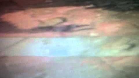 Dispute Doubles BOII - Map 1 - Slums