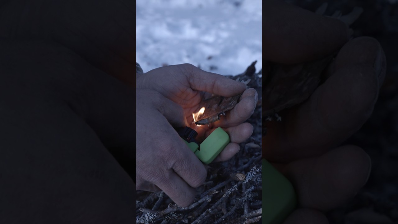 Birkenrinde - Der Zunder des Nordens