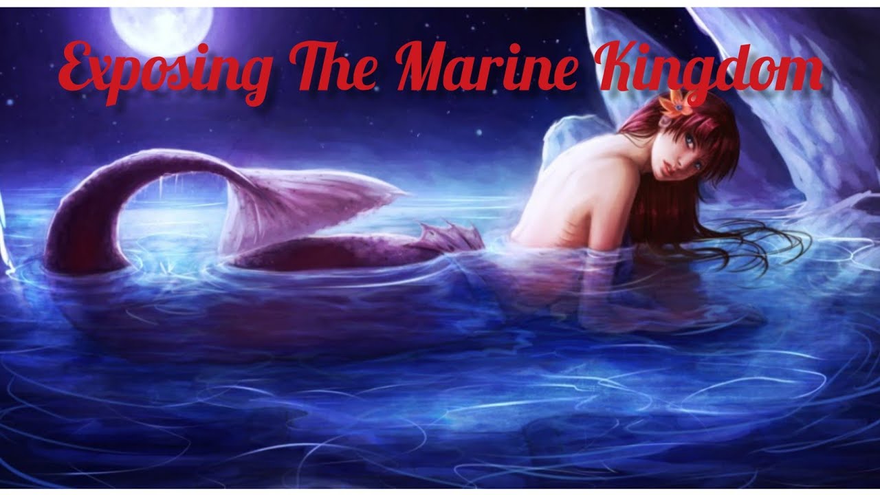God Told Me To Expose The Marine Kingdom