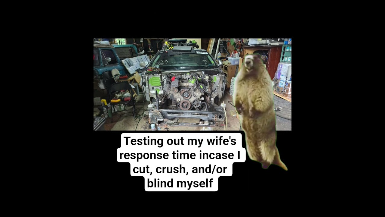 Screaming to test out my wife's response time 