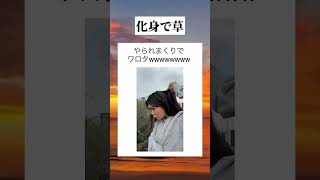 くっつキング #tiktok #tiktokvideo #youtube #shorts #youtubeshorts #おすすめ #面白い #おもしろ #すごい #やばい #自然 #植物 #草
