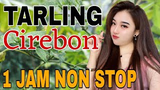Download Lagu TARLING CIREBONAN DERMAYON || 1 JAM NON STOP TANPA IKLAN‼️ MP3 Download Lagu TARLING CIREBONAN DERMAYON || 1 JAM NON STOP TANPA IKLAN‼️ MP3