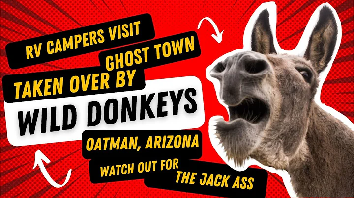 DONKEY Ghost Town RV Route 66 ROAD TRIP Oatman Ari...