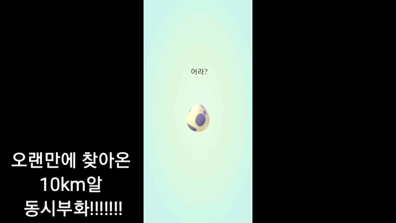 [포켓몬고][10km알 동시 부화 #15] 진짜 레전드!!! 100% SSS가 나와버리네ㅋㅋㅋ [Pokemon Go]