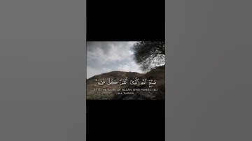 قران الكريم🤍القارئ ياسر الدوسري🤍اكتب شيء تؤجر عليه🤍