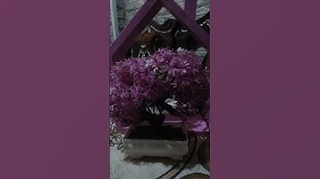 لا تنسوا قراءة سورة الكهف  يوم الجمعة 🌿🍃🌿